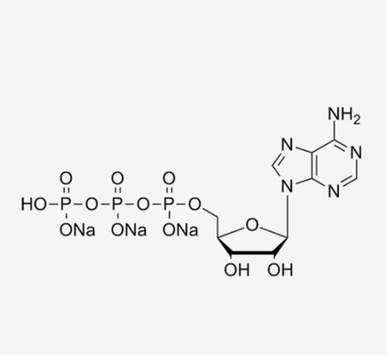 ATP MRNA het adenosine-5'-Trifosfaat CAS 987-65-5 van Vaccin Grondstoffen