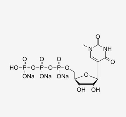 N1-me, 100mM solution/HPLC≥99%/CAS No.:  1428903-5/N1-methyl-pseudouridine 5 ' - trifosfaat, trisodium zoute Oplossing