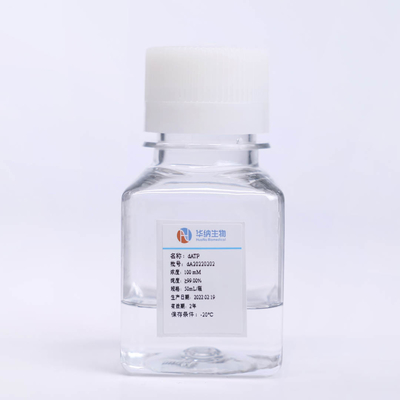 ISO9001 2 ' - deoxyadenosine-Trifosfaat in PCR Vloeistof 5 ' - 100mM van DATP CAS 1927-31-7 Oplossing