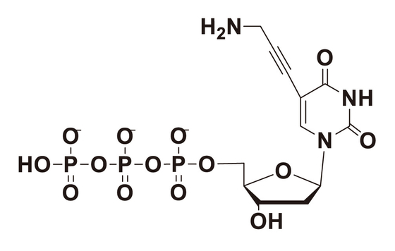 DNA die Reagentia 5-Propargylamino-DUTP Opslag in 2-8℃ rangschikken