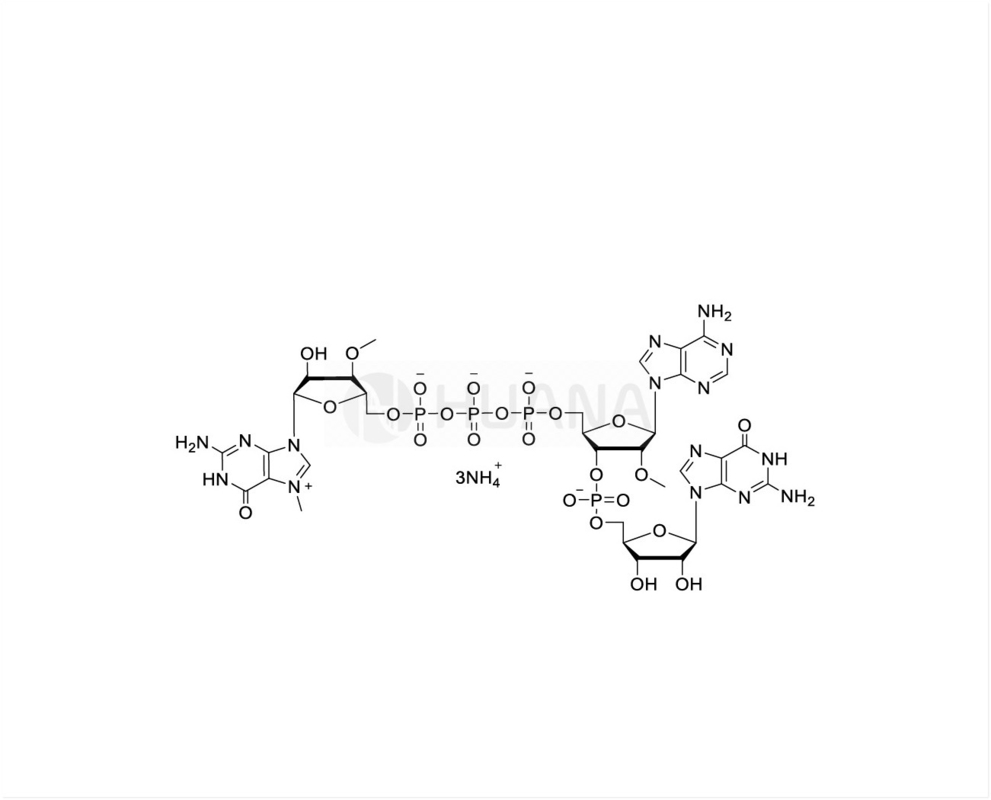 CAP GAG ((3'OMe) m7 ((3'OMeG) ((5') ppp ((5') ((2'OMeA) pG 100mM Ammoniumoplossing, GMP-kwaliteit