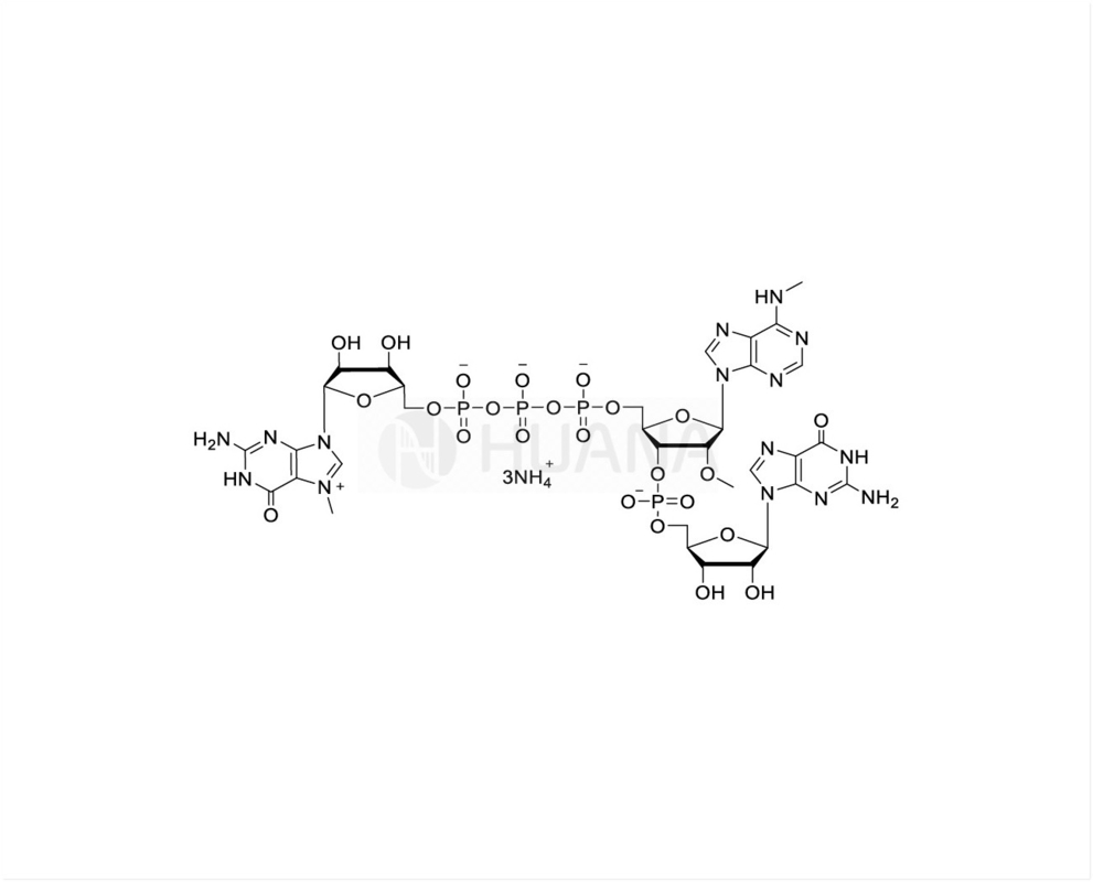 CAP GAG ((m6A) m7G ((5') ppp ((5') ((2'OMe,m6A) pG 100mM Ammoniumoplossing