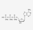 Natrium Zoute DATP in PCR 100mM Oplossing 2 ' - deoxyadenosine-5'-Trifosfaat CAS 1927-31-7