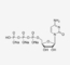 Het cytidine-5'-Trifosfaat van CAS 123334-07-6 Mrna Grondstoffenctp 100mM Oplossing