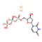 DUTP Deoxynucleotides 2 ' - deoxyuridine-5'-Trifosfaat Natrium Zoute Oplossing CAS 102814-08-4