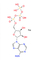 OEM Adenosine Trifosfaatatp 100mm Oplossing CAS 987-65-5 C10H17N5NaO13P3