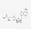 Duidelijk SAM-Cl (3S) - 5 ' - ((3-amino-3-Carboxypropyl) Methylsulphonio) - 5 ' - Deoxyadenosine Chloride CAS 24346-00-7