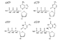 Deoxynucleoside 5 de Trifosfaat Gewijzigde Oplossing DATP DCTP DGTP DTTP van de Nucleotidendntp Mengeling