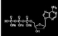 De Waterige oplossing van Huanadatp Deoxynucleotides van Dntp-Mengeling 100mm Cas 1927-31-7